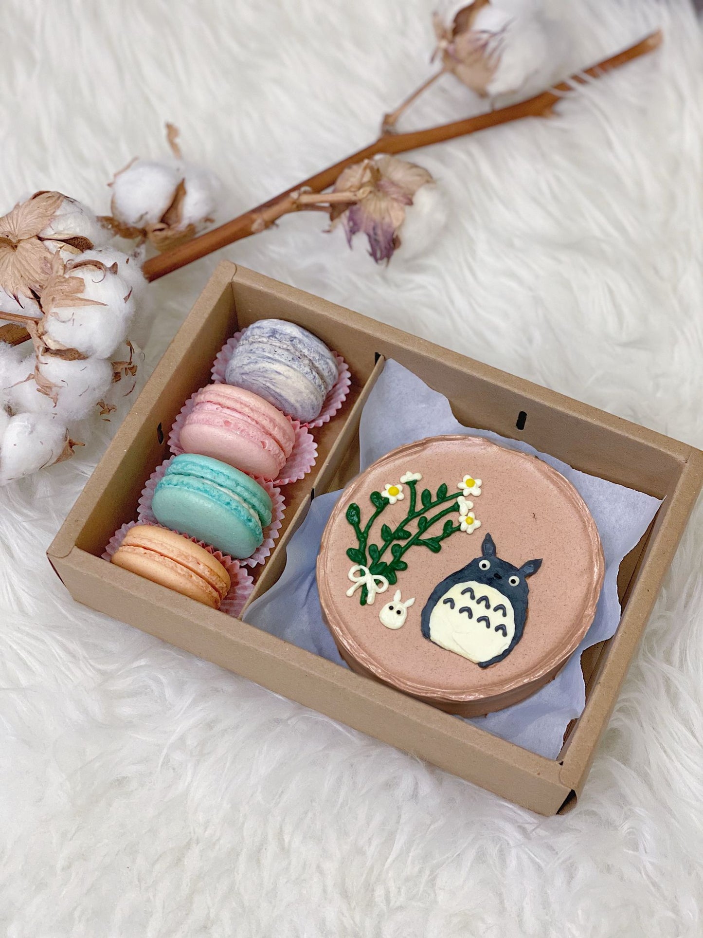 Totoro Bento Cake