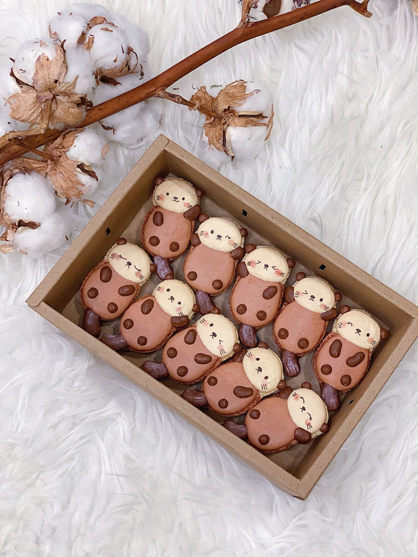 Otter Macarons