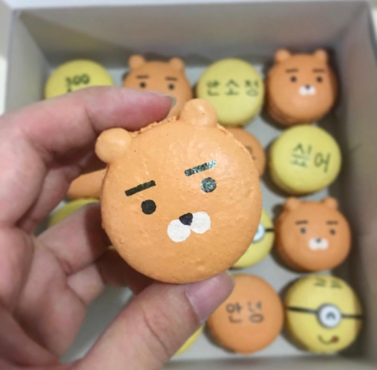 Kakao Friends Macarons