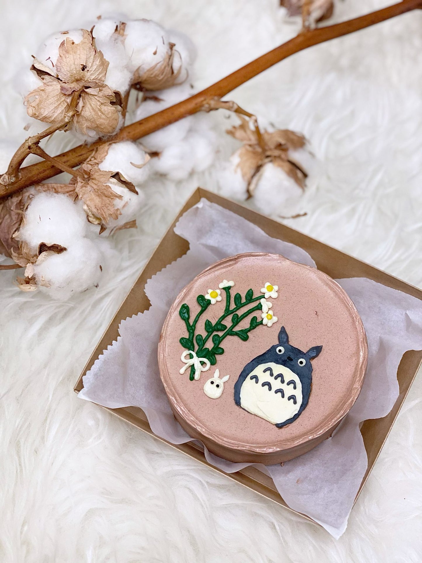 Totoro Bento Cake