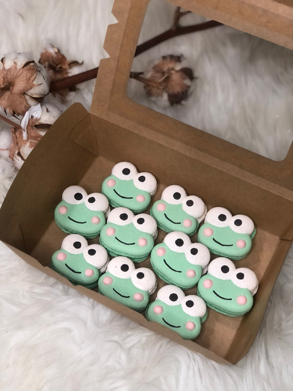 Hello Kitty and Friends Macarons