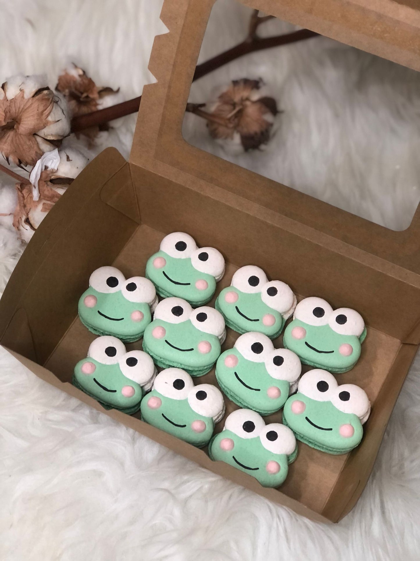 Hello Kitty and Friends Macarons