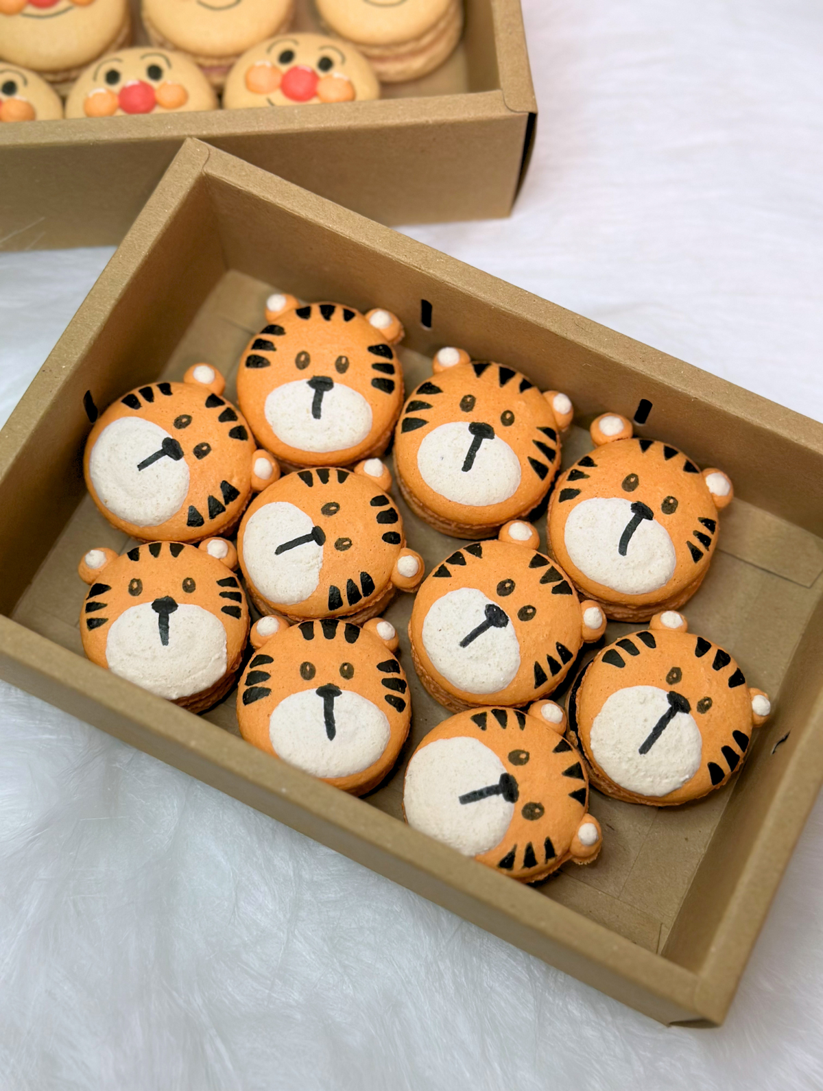 Safari Macarons