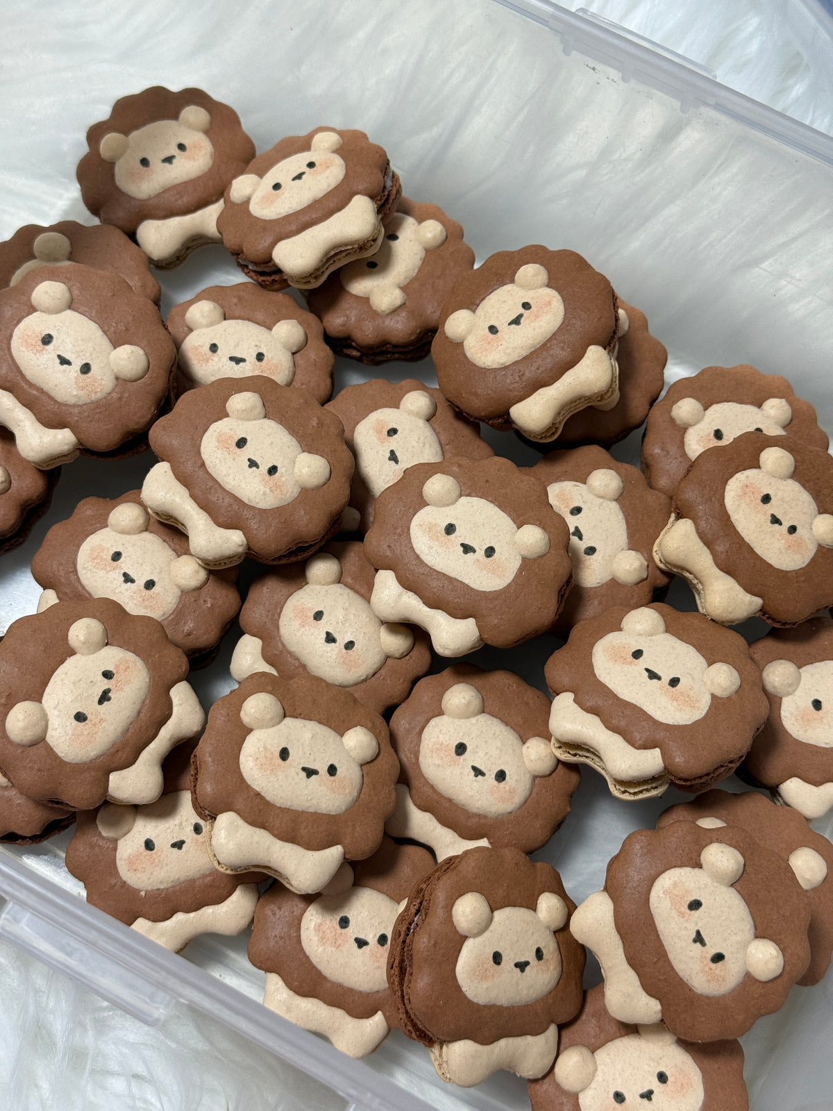 Safari Macarons