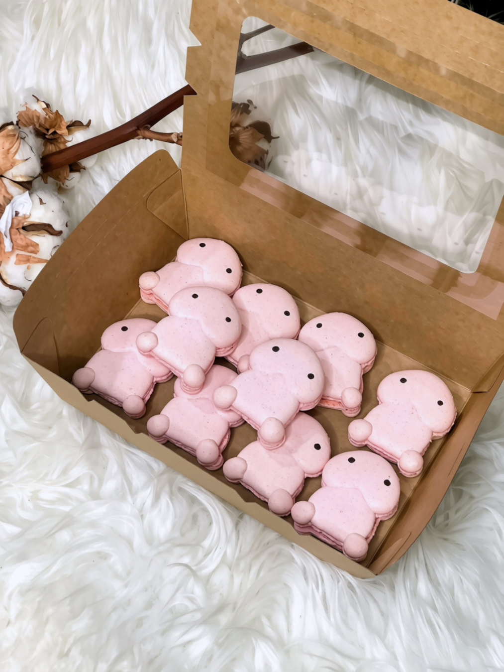 Dingding Macarons