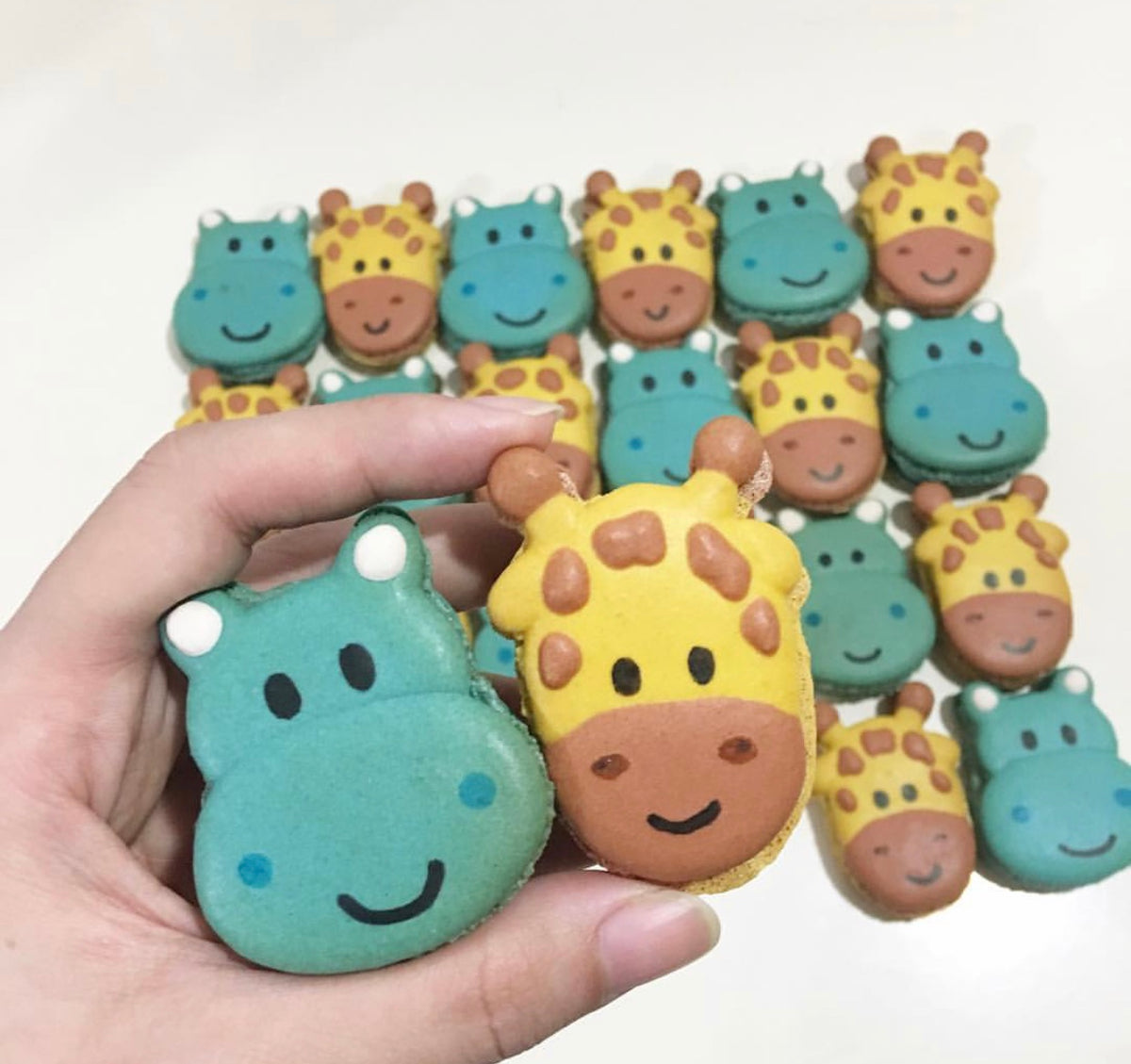 Safari Macarons